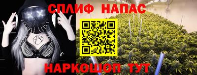 МДПВ Ливны
