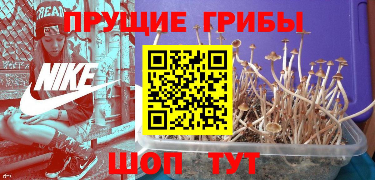 Галлюциногенные грибы ЛСД Жигулёвск